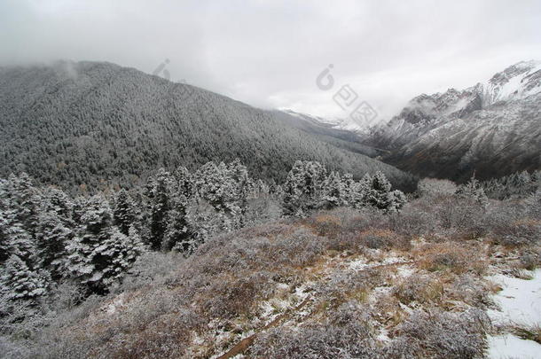 雪，冬季，荒野，山地，地形，山地，高地，山脊，地质，现象，树木，冰冻，山，天空，铁