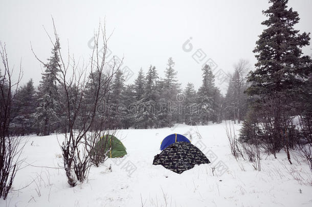 冬季露营