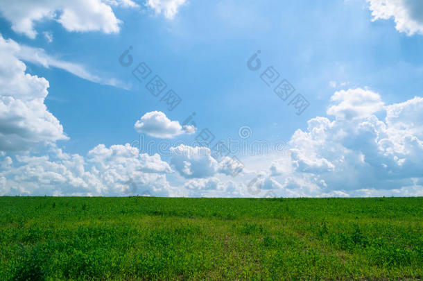 晴朗的夏日草地，蓝天白云