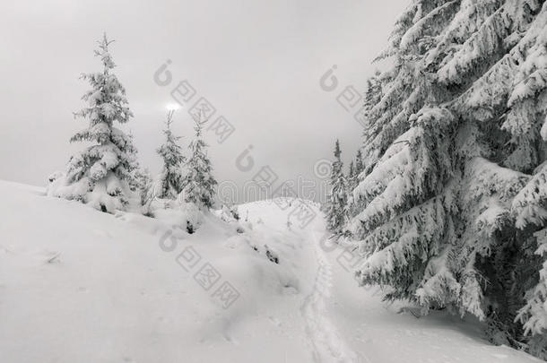 森林降雪童话