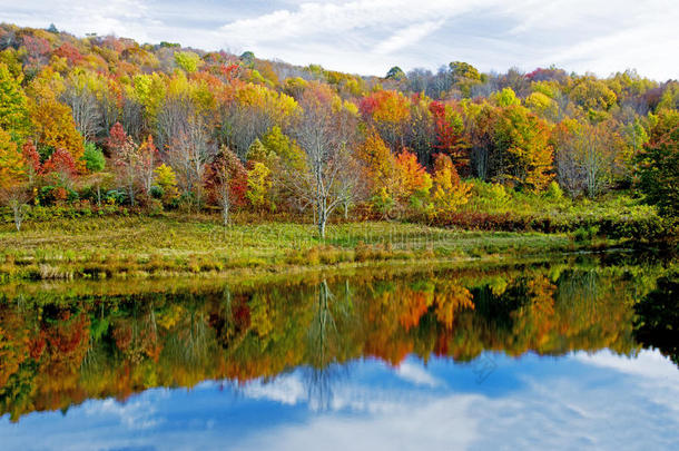 湖水倒映在湛蓝的湖面上，颜色是秋天的颜色。