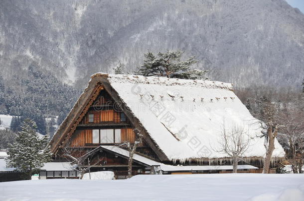 白雪覆盖的茅草屋顶的房子