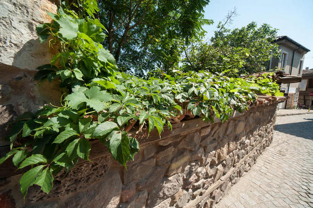 保加利亚建筑风格：建筑和植物