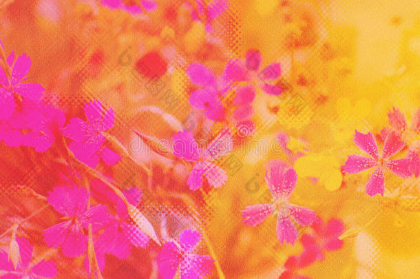 粉色纹理上美丽的花朵图案