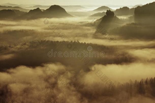 在瑞士撒克逊人的深雾山谷。砂岩山峰从雾状背景增加，雾呈蓝橙色