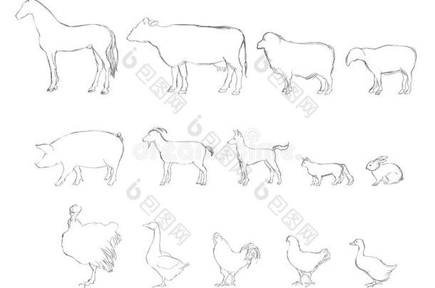 农场动物收藏。手绘插图。