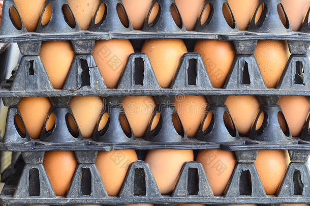 鲜鸡蛋包装堆放
