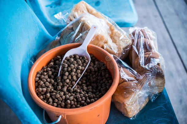 生物燃料生物量能量手指燃料