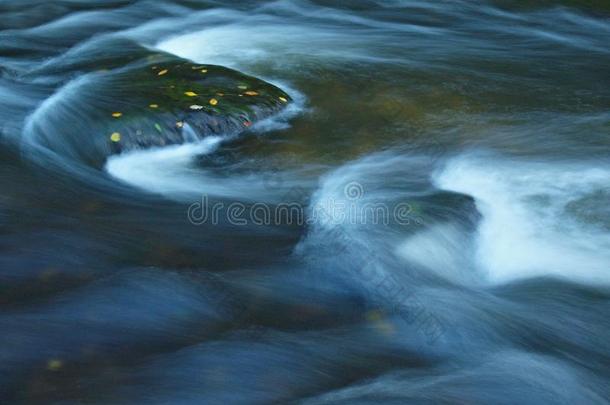 水位升高时，橘黄色的山毛榉叶子落在长满青苔的石头上。石头周围波浪的模糊运动。