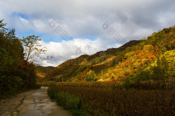 秋长白山