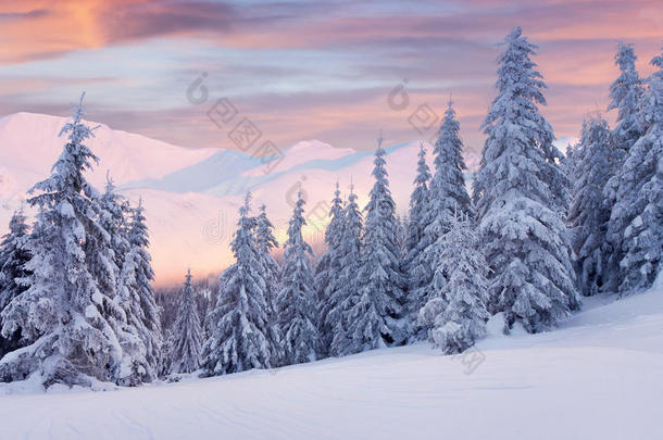 山中的<strong>冬季美景</strong>。日出