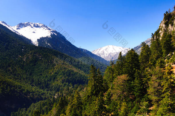 齐里亚山