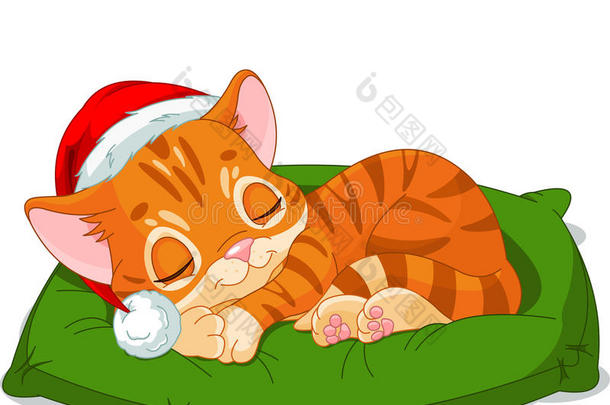 圣诞小猫睡觉