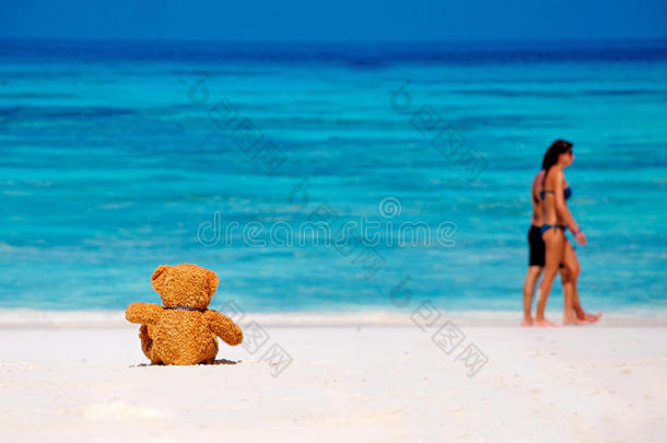 孤独的泰迪熊坐在沙滩上。