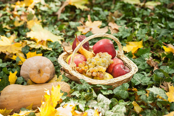青草上的篮子里有不同的水果和蔬菜。室外秋收蔬菜（葡萄、苹果、南瓜）