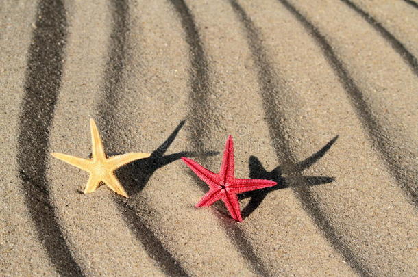 沙滩上的红黄海星