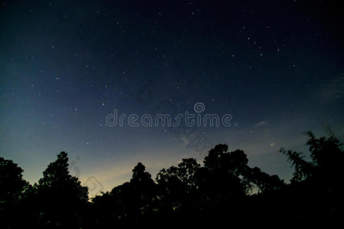群星密林中的黑夜图片-包图网企业站