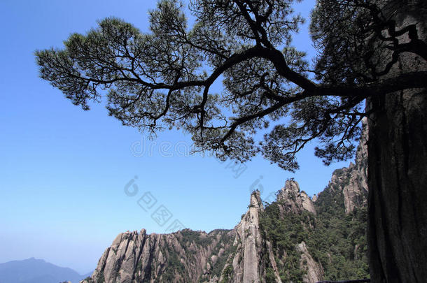 树木、天空、自然、木本、植物、山地、地貌、山地、岩石、荒野、山地、风景、地形、国家公园、麸皮