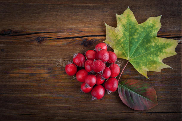 秋天的木质背景，有枫叶和红莓