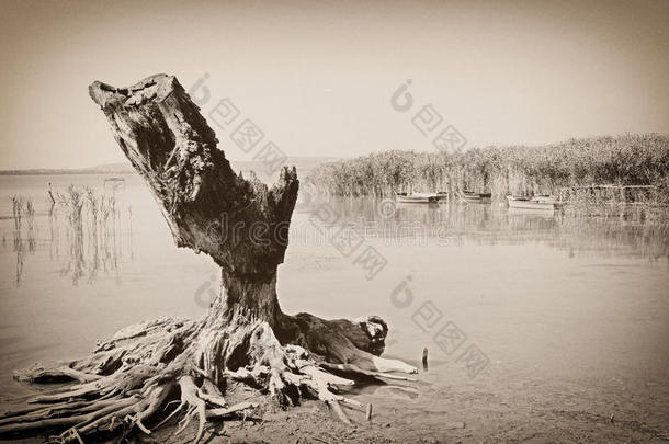 巴拉顿湖老照片