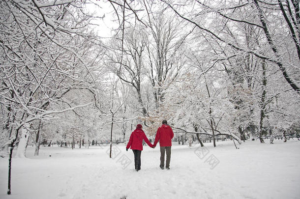 雪<strong>之恋</strong>