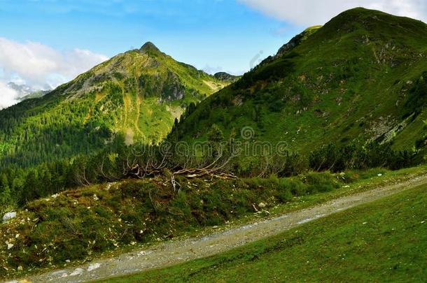 阿尔卑斯山景观