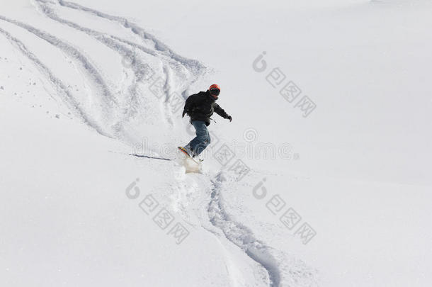 滑雪板<strong>自由行</strong>者