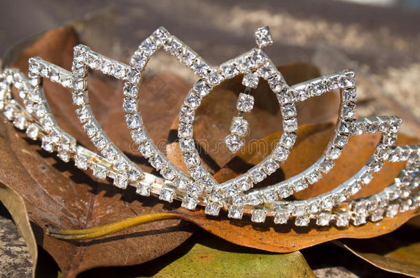 棕色秋叶床上的钻石王冠