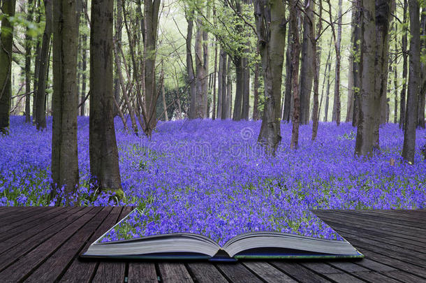 本书创意概念页活力蓝铃地毯春季森林景观