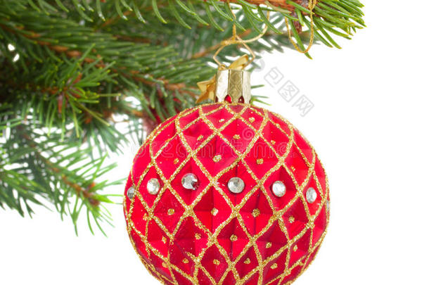 冷杉树上的圣诞红金球