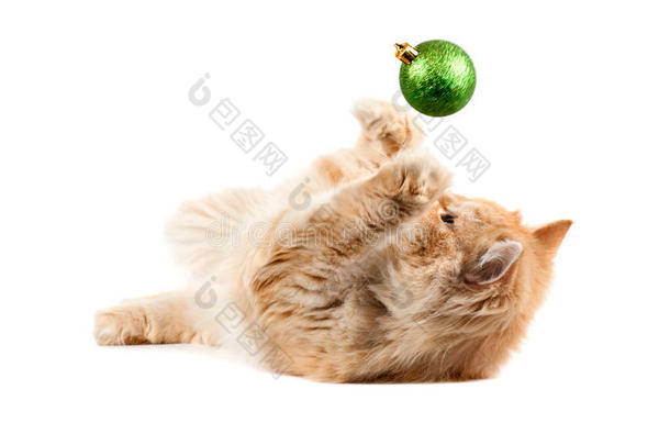 <strong>趴</strong>在地上的红猫咪翻一个<strong>新年</strong>绿球