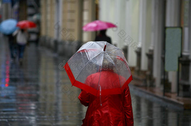 雨中<strong>撑伞</strong>的女人