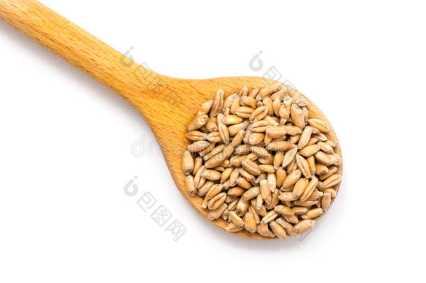 麦子木勺