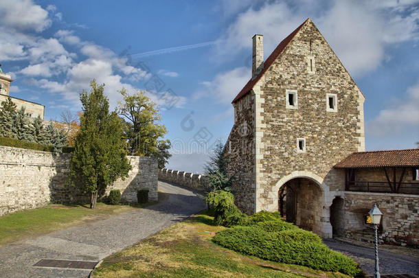 布达佩斯布达城堡的门楼