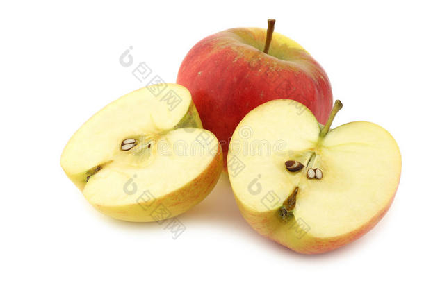 荷兰苹果新品种达林科