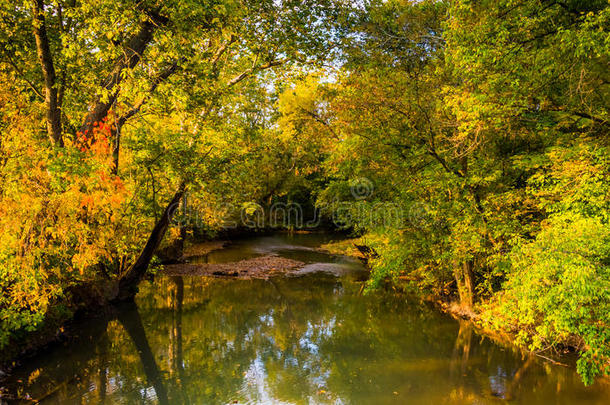 在宾夕法尼亚州亚当斯县乡村的小溪边，初秋的颜色。