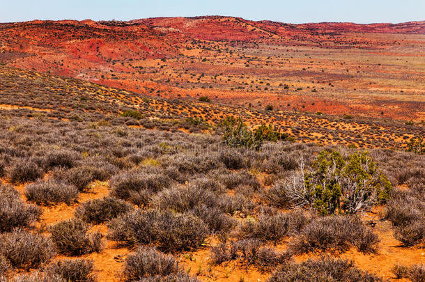 涂有沙漠黄<strong>橙红色</strong>砂岩拱门的国家公园摩押犹他州