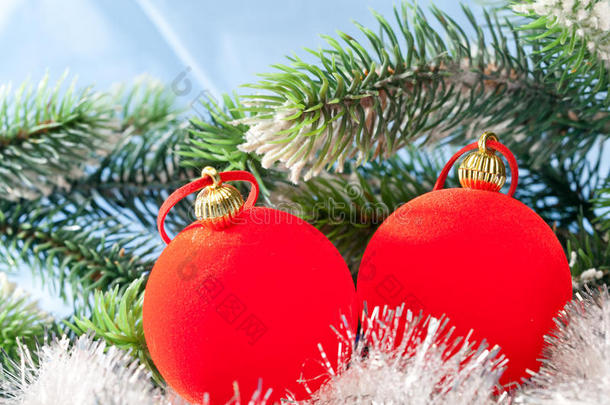 圣诞冷杉树上的两个红色球体