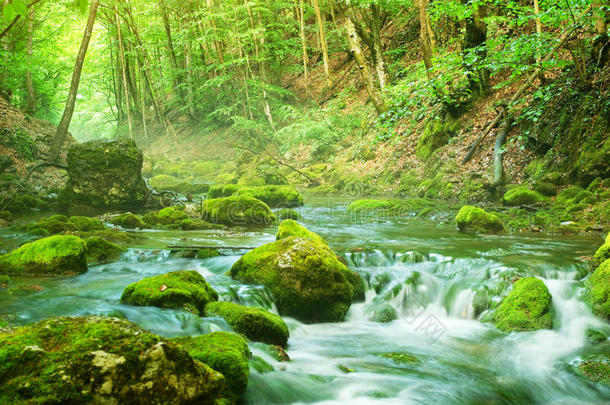 山林深处的河流。