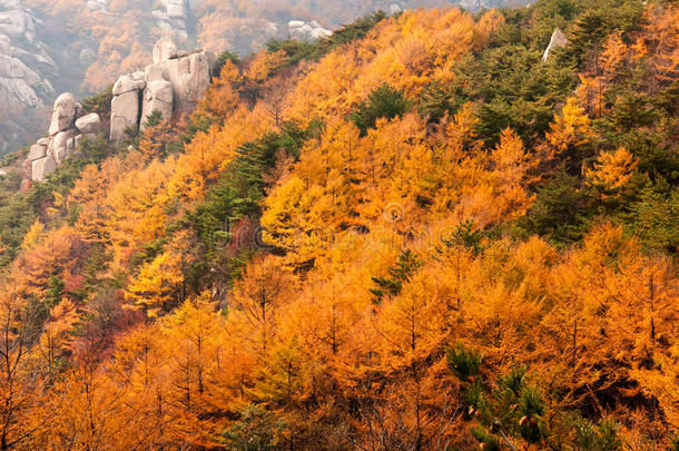 中国崂山秋色秀丽