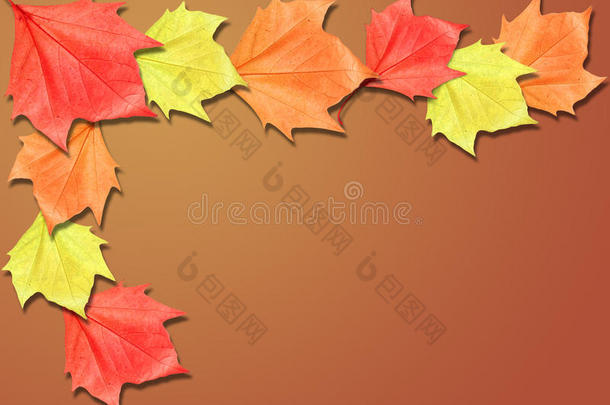 棕色秋季背景边框和复制空间
