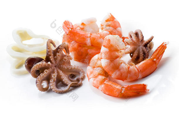 虾、章鱼和鱿鱼。海鲜隔离