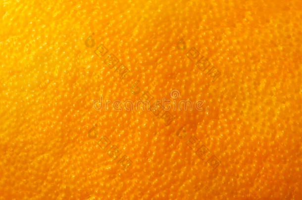 天然橙果皮