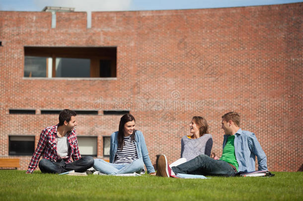 四个随意的学生坐在草地上聊天