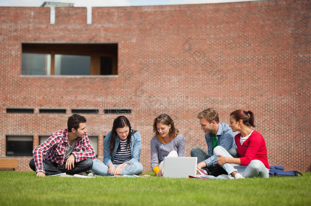 五个随意坐在草地上使用笔记本电脑的学生