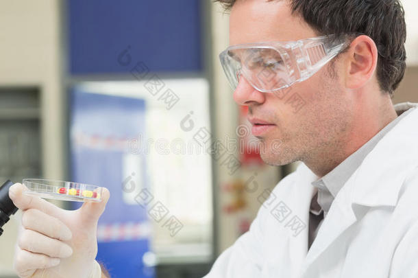 男科学家在实验室分析药片