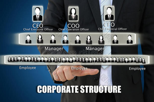 企业结构图