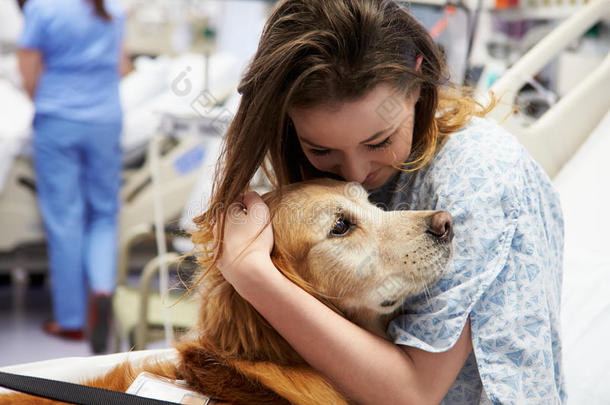 治疗犬探访住院女青年