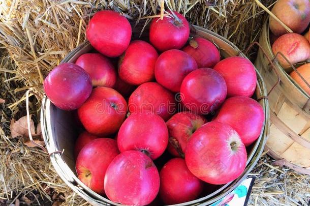 水果架上篮子里的苹果