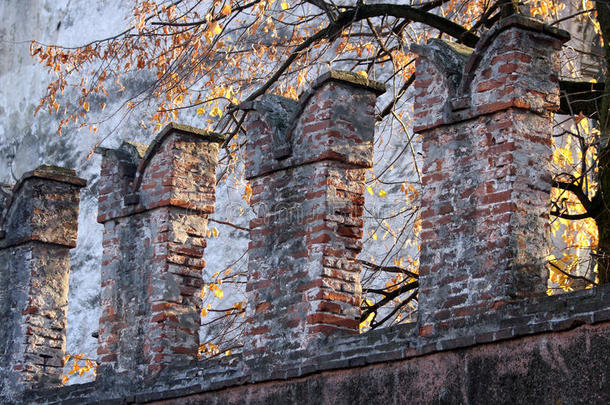 蒂埃尼市一座中世纪城堡墙壁的装饰
